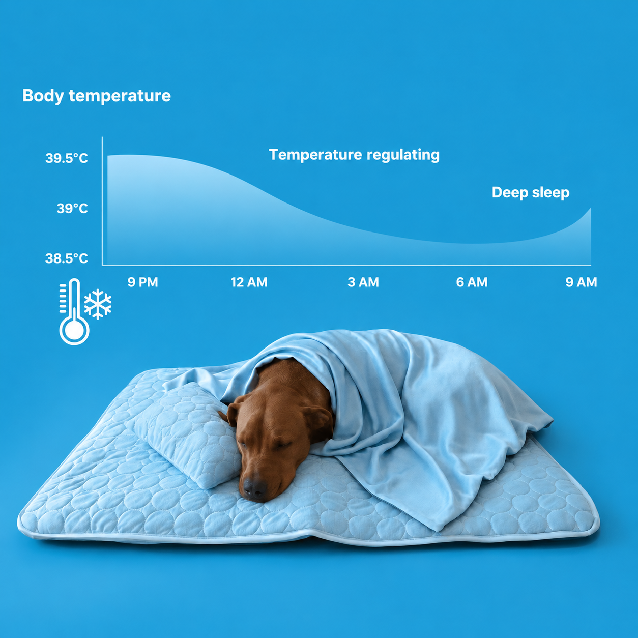 Tapete Refrescante ChillHund