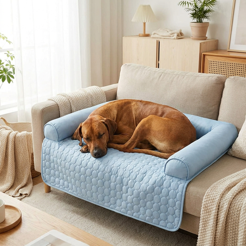 Dog sleeping on ChillHund Cooling Sofa Bed with raised bolster edges on a beige couch