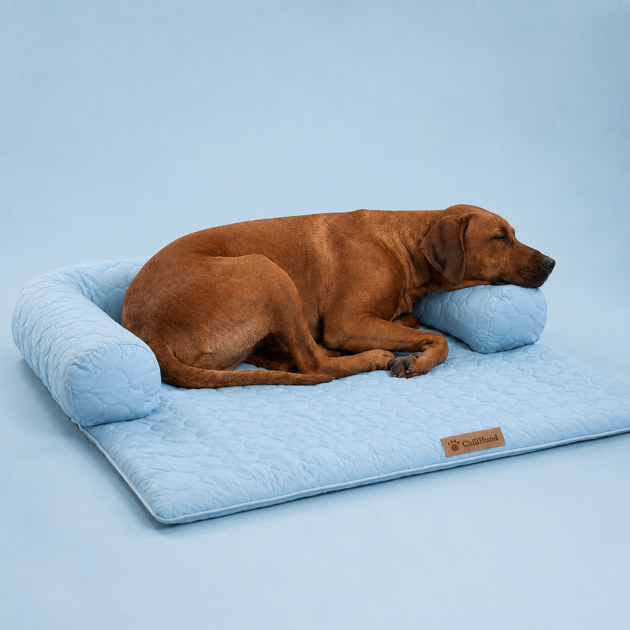 ChillHund® Cooling Sofa Bed